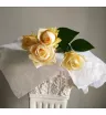 Кустовая роза бело-кремовая