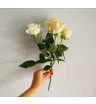 Кустовая роза бело-кремовая 1