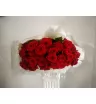 Бордовые розы 25шт 2