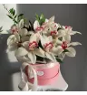 Орхидеи в шляпной коробке 