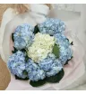 Букет из гортензий Голубые лепестки 1