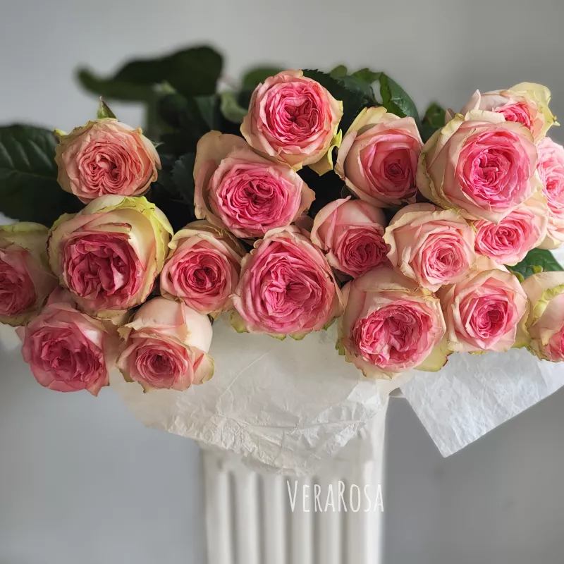 Монобукет из 19 розовых пионовидных роз  2