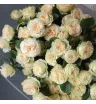 Монобукет из 15 кустовых  роз Кружево  3