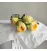 Лимонная пионовидная роза  1