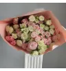 Монобукет из 21 кустовой розы 2