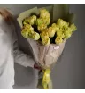 Букет из 25 пионовидных тюльпанов  2