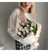 Букет ТЮЛЬПАНЫ и гениста 4