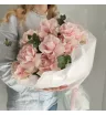 Французские н эвкалипт 1