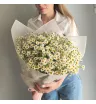 Полевые цветы