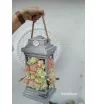 Композиция в  ящике 6 чувство 2