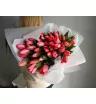Монобукет «Корраловые тюльпаны 51шт»