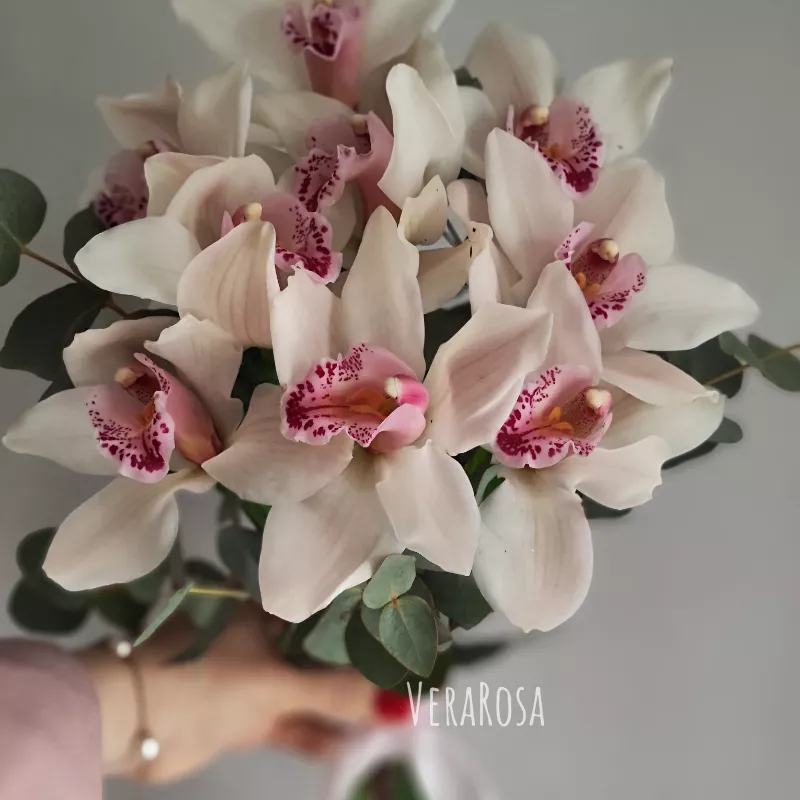 Букет из орхидей Аннэт 3