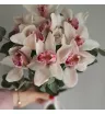 Букет из орхидей Аннэт 3