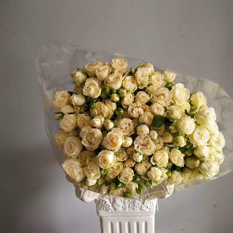 Розы «Белое кружево»  25 шт. 1