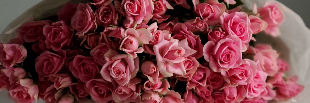 С Днём Татьяны!