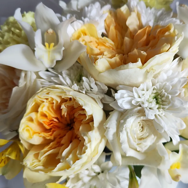 Коробка ВЕСНА  4